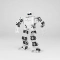 H5S Humanoid Dance Robot – 16-Servo Bipedal Bionic Robot with 40+ Dance Moves & Educational Programming